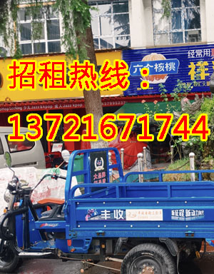 枫叶路1